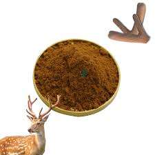 Poudre de velours de bois de cerf de qualité alimentaire d'approvisionnement d'usine 10:1 extrait de bois de cerf - Product Image 6