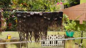 Cheveux humains vierges Extension de cheveux noirs ondulés en vrac Vente à chaud Extension de cheveux naturels indiens 100% Remy non transformés - Product Image 3