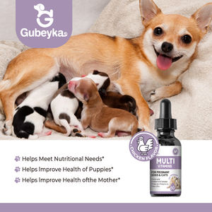 Vitamine prenatali per cani per cani include vitamina B complesso vitamina C forniture prenatali per cani - Product Image 3