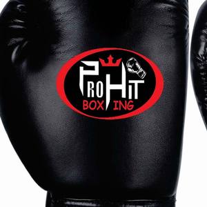 Gants de boxe en PU de haute qualité pour compétitions d'arts martiaux unisexe logo personnalisable tailles de compétition plusieurs couleurs - Product Image 5