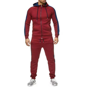Ensemble de survêtement de sport décontracté pour homme, taille plus, logo personnalisé, coupe ajustée, fermeture éclair intégrale, jogging, 2 pièces - Product Image 2