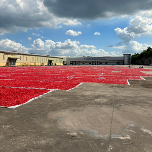 พริกแห้งที่อุดมไปด้วยเครื่องเทศธรรมชาติสีสดใสและรสชาติเข้มข้นสมบูรณ์แบบสำหรับซอสปรุงอาหารและอาหารปรุงรสอบแห้ง - Product Image 4