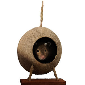 รังกะลามะพร้าวให้ความอบอุ่นเป็นมิตรต่อสิ่งแวดล้อมพร้อมฐานสำหรับนกแก้วนกหนูแฮมสเตอร์ทำใน2024เวียดนาม - Product Image 5