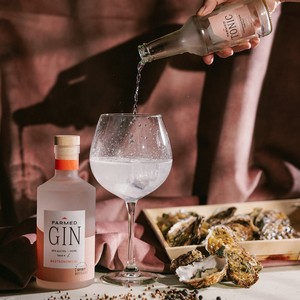 Gin gastronomique de Noël de qualité supérieure 50cl avec emballage personnalisé 4x25cl tonic distillerie belge de luxe parfaite pour les cadeaux - Product Image 5