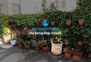 Horno reutilizable, ordeñador - Product Image 6