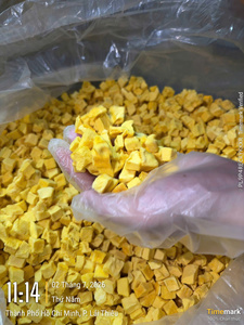 Mangues séchées congelées en dés/cubes de 1 cm, 1,5 kg, emballage en vrac, fourniture d'usine - Product Image 4