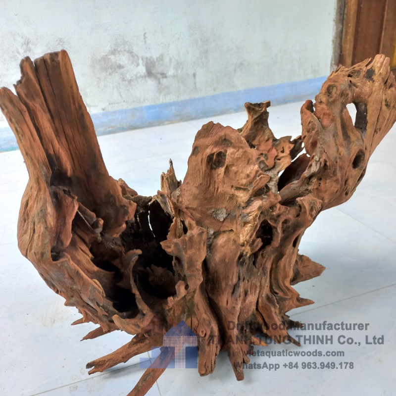 ธรรมชาติ