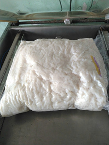 MATÉRIAU NATA DE COCO CRU BOISSON EN GELÉE DE NOIX DE COCO SÉCHÉE BON GOÛT COULEUR BLANCHE AVEC SIROP 2025 VENTE ENTIÈRE GRANDE QUANTITÉ - Product Image 2