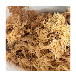 Mousse de mer séchée nettoyée et sans sel Eucheuma Cottonii Algues irlandaises Mousse en vrac pour l'assaisonnement, les boissons, l'extraction des nutriments - Product Image 1