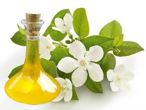 Fabricante Mayorista de Absoluto de Neroli 100% Puro y Natural, Absoluto de Neroli de Primera Calidad a un Precio Accesible de la India - Product Image 2