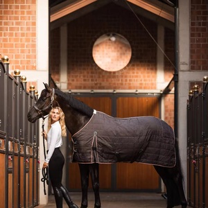 Coperta da Scuderia per Cavalli Impermeabile di Alta Qualità all'Ingrosso con Logo Personalizzato, Attrezzatura per Cavalli in Vari Stili - Product Image 3