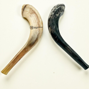 Corne de Shofar de bélier naturel fabriquée à la main Accent décoratif de corne d'animal authentique pour la maison et le décor spirituel - Product Image 1
