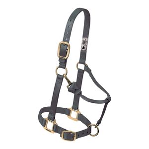 Cabestros de Venta Caliente, Arnés Ecuestre Occidental, Cabestros para Caballos, Anatomía del Caballo, Cómodos - Product Image 5