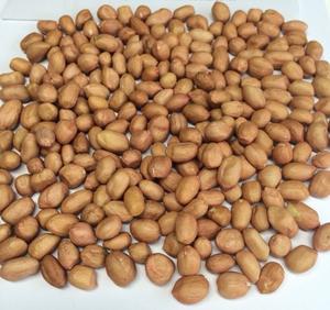 Cacahuetes blanco crudo indio Gujarat 25/50kg PP bolsa de extracción de aceite para consumo humano y animal - Product Image 3