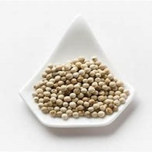 อุปทานจำนวนมากของเครื่องเทศพริกไทยขาวและสมุนไพรที่มีอยู่ในราคาฟาร์ม - Product Image 4