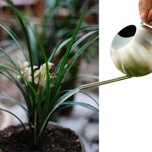 Shiny Polish Metal <b>Water</b> <b>Can</b> For Garden Watering Needs With Vintage Theme And Long Lasting Color Protection Supplies From India - Product Image 3