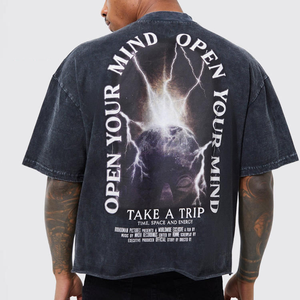 Camisetas de talla grande para hombre, venta de fábrica, de alta calidad 100% de algodón, secado rápido, antiarrugas, transpirables, personalizables - Product Image 2