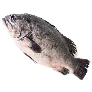 Pida pescado mero en línea - Product Image 1