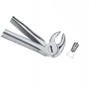Forceps d'extraction dentaire Fig.22 Diam manuel en acier inoxydable de haute qualité, instruments dentaires certifiés CE avec logo personnalisé - Product Image 4