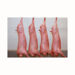 Viande congelée bon marché MEILLEURE QUALITÉ D'ORIGINE DE porc CONGELÉ Disponible pour l'approvisionnement Porc congelé de qualité avant de porc CONGELÉ EN CARCASSE DE COUPE DE 6 VOIES - Product Image 5
