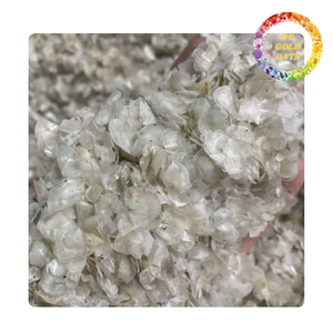 ทำความสะอาดเกล็ดปลาจากเวียดนาม | วัตถุดิบสำหรับเจลาตินและเครื่องสำอาง - Product Image 2