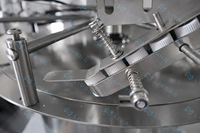 Machine de remplissage et de bouchage automatique multifonctionnelle de poches souples pour liquides, savon, détergent, et sachets Doypack/stand-up