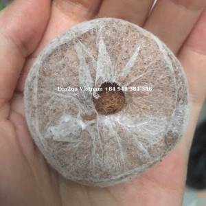 ก้อนมะพร้าวอัดเม็ดพีทที่มีสารอาหารในดินขายส่ง Eco2go เวียดนาม - Product Image 5