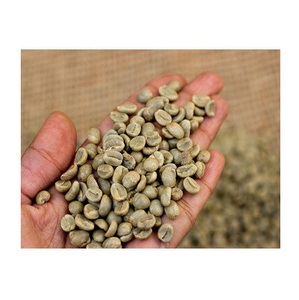 Café Robusta Prix du café Robusta Brésil Processus lavé Qualité Robusta Grains de café vert Haricots crus en gros - Product Image 2