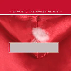 Bata de Boxeo de Buena Calidad, Bata de Artes Marciales con Capucha, Satén, Logotipo Personalizado en la Parte Delantera, Transpirable, de Secado Rápido, Ligera, Unisex - Product Image 5