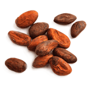 Granos de cacao de alta calidad Granos de cacao tostados secos Granos de chocolate Premium naturales - Product Image 2