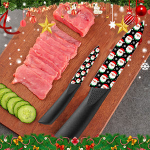 Suministro al por Mayor de Hojas de Cuchillo de Chef de Cerámica con Mango de Plástico, Duraderas para Uso Diario, Venta Caliente, Suministro de Fábrica, Envío Rápido - Product Image 6