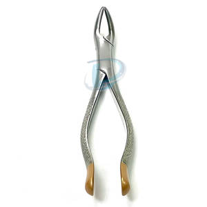 Fórceps de Extracción Profesional de Alta Calidad al por Mayor, Fórceps de Extracción Dentales a Bajo Precio - Product Image 2