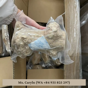 Palo de café de madera natural Juguete masticable para perros Seguro y ecológico por 99 Gold Data - Product Image 2