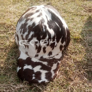 Gorras de Béisbol de Cuero con Pelo de Vaca - Product Image 6