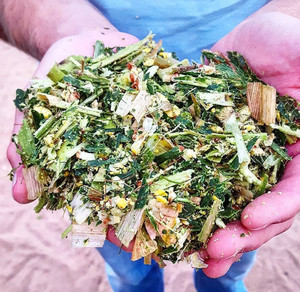 Grano de ensilaje de maíz seco de alta calidad, alimento para animales de alta nutrición para ganado y animales de granja con bolsas de yute de harina de gluten de maíz - Product Image 1