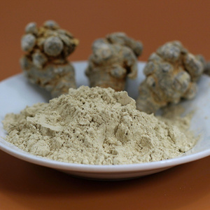 TOP VENTAS AL POR MAYOR GRANEL PANAX NOTOGINSENG ROOT NATURAL PREMIUM CALIDAD DE EXPORTACIÓN LISTO PARA ENVIAR - Product Image 4