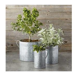 ที่ปลูกต้นไม้โลหะขัดเงาแบบโบราณงานตามสั่งเคลือบผิวเหล็กชุบสังกะสีสำหรับสวนและตกแต่ง-ขายส่ง - Product Image 1