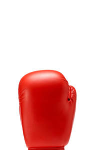 Guantes de Entrenamiento de Kick Boxing Premium, Ligeros, con Correa de Muñeca Ajustable, Duraderos, Unisex, para Adultos - Product Image 3