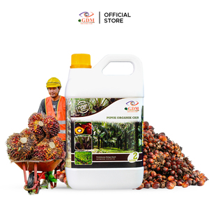 ปุ๋ยน้ำ GDM 2L อินทรีย์เหลวสำหรับรากปาล์มที่แข็งแรงและการพัฒนาผลไม้ - Product Image 2