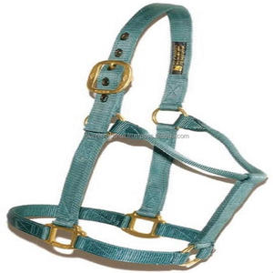 Double Stitched Turquoise Nylon Horse Halter in Many Colors & Custom Sizes with High Finish Brass Buckle & Ring at Factory Price - Product Image 6