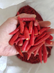 Le Offres Spéciales 100% piments rouges congelés IQF Premium de qualité organique du Vietnam à bas prix et de haute qualité - Product Image 2