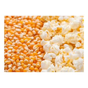 Semillas de palomitas de maíz de calidad PURA Venta al por mayor Alto fabricante nuevo Mejor material Con tarifa barata - Product Image 1