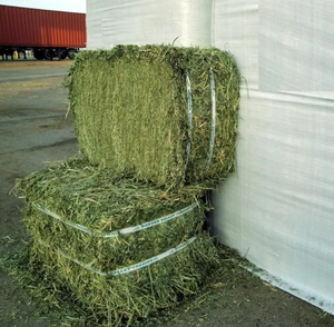 Por encargo Timothy grado alfalfa heno mejor calidad a granel alimentación animal envío rápido al por mayor para la venta - Product Image 2