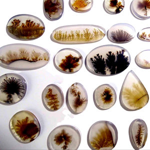 พลอยคาโบชองธรรมชาติ ราคาส่งสวยงาม พลอยอาเกตเชซาร์เดนดริติก สำหรับทำเครื่องประดับ - Product Image 3