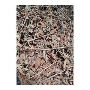 Feuilles de Mesona Chinensis avec un ingrédient de feuille d'herbe noire pour la fabrication de gelée de tisane Utilisation d'une herbe rafraîchissante vietnamienne naturelle - Product Image 5