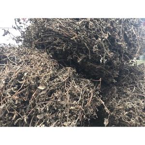 Gelatina negra seca de alta calidad, mejor precio - Product Image 1