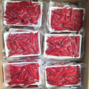 Piment rouge entier surgelé certifié IQF du Vietnam, cultivé en serre, fraîchement transformé, goût épicé, qualité supérieure - Product Image 5