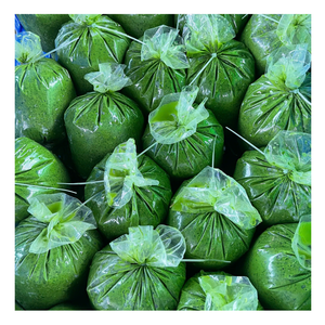 Hoja de yuca congelada de primera calidad, hojas ricas en nutrientes recién cosechadas para platos africanos auténticos, conveniente, lleno de sabor atrevido - Product Image 6