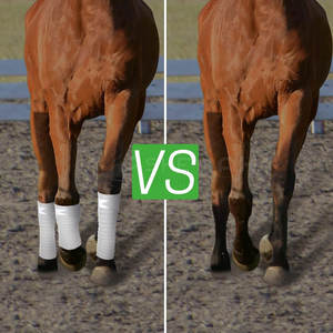 Eco Friendly Horse <b>Bandages</b> High Quality <b>Leg</b> Wraps Wholesale Horse Riding <b>Bandages</b> Support Protection - Product Image 5