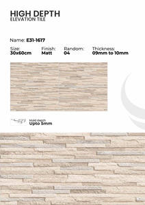 Carreaux de mur extérieur en porcelaine 300x600mm, collection de façade - Product Image 2